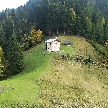 B&B Ai Pini Tiarno di Sopra Exterior photo