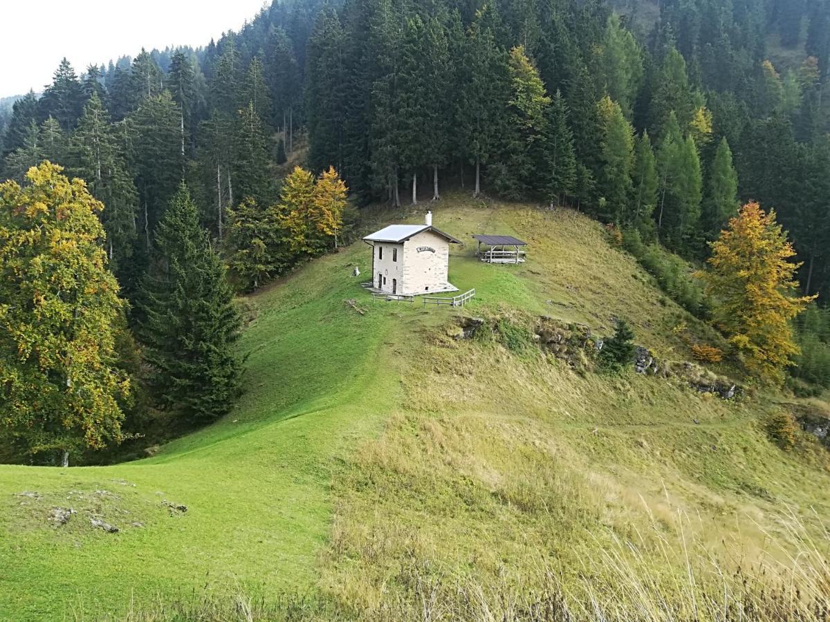 B&B Ai Pini Tiarno di Sopra Exterior photo